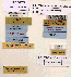 album1007010.gif